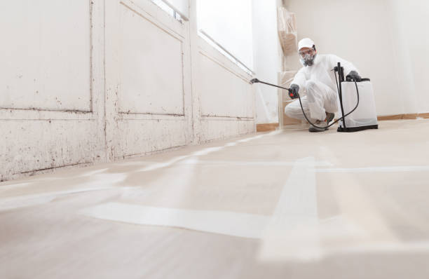 24/7 Emergency Mold Cleanup experts in Chatham, VA