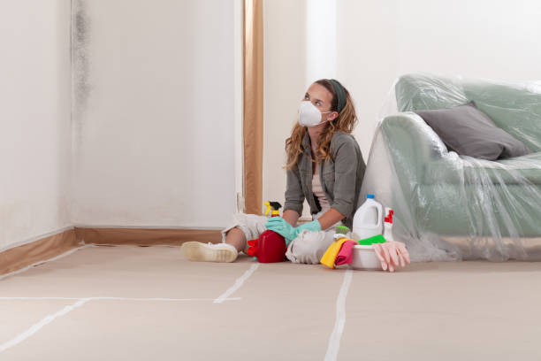 Reliable Mold Cleanup contractor in Chatham, VA by WQB Mold Removal